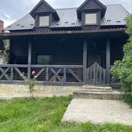 білий гриб Nyaraló